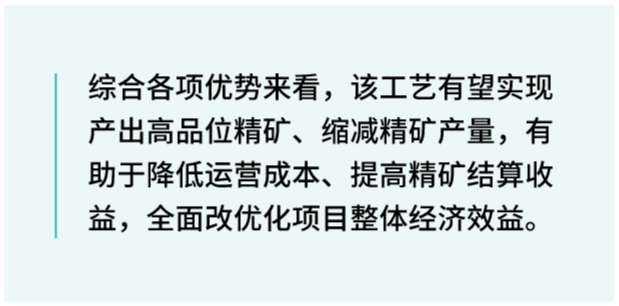Jameson Cell 浮选工艺优势:提升精矿品位、降低运营成本、优化项目经济效益